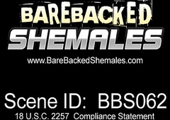 Instant Bareback Sex by Two Shemale Babes